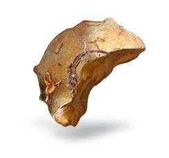 Copper image