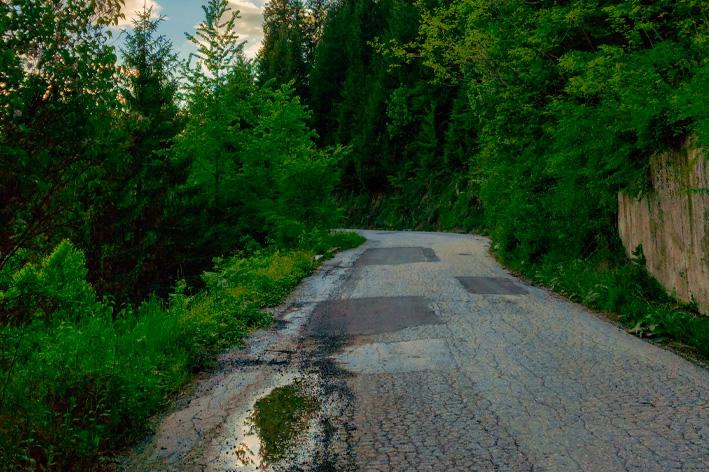 GRAVITY DATA REPROCESSING HIGHLIGHTS SIGNIFICANT ANOMALIES AT RUPICE AND JURASEVIC-BRESTIC
